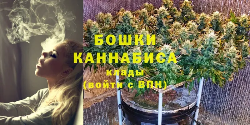 Бошки Шишки конопля  где найти   Кущёвская 